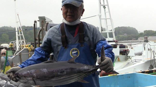 「大型中心で脂の乗り良い」待望のカツオ初水揚げも「過去20年で最低水準の漁獲量か」宮城・気仙沼市|TBS NEWS DIG