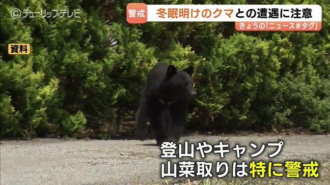 GWはクマに注意 冬眠明けのクマが活発化 早朝・夕方は特に危険 富山|TBS NEWS DIG