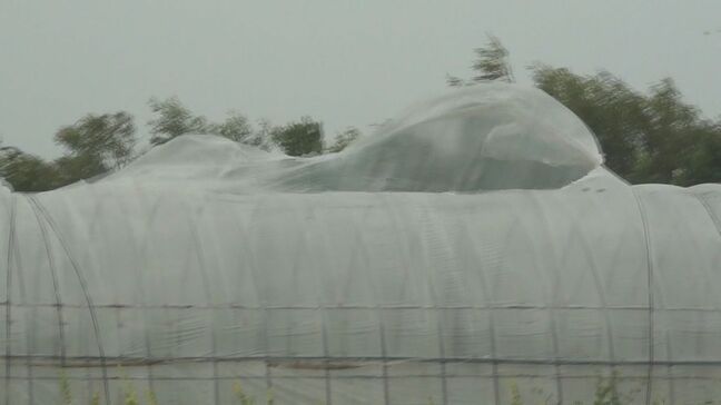 台風10号　喜界島で最大瞬間風速40メートル超　鹿児島県内全域で「線状降水帯」おそれ（27日夜～28日夜）|TBS NEWS DIG