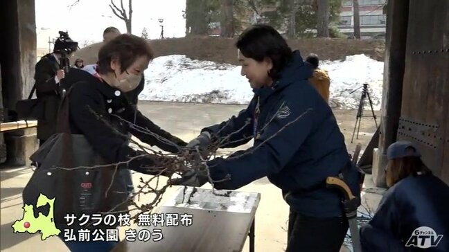 「一足早い春を感じたい」サクラの名所・弘前公園内のせん定作業で出たサクラの枝を無料配布 770人の応募の中から抽選で選ばれた500人に手渡される 青森県弘前市|TBS NEWS DIG