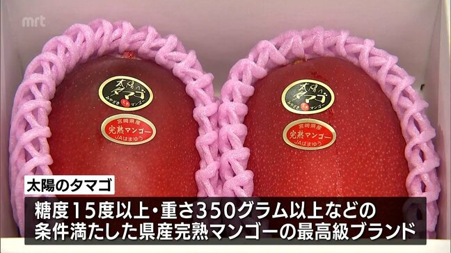 宮崎県産完熟マンゴーの最高級品「太陽のタマゴ」の初競り　最高値は52万5000円(1ケース2玉入り)|TBS NEWS DIG