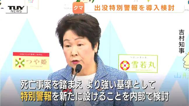 クマ対策強化 より強い“特別警報”の導入を検討 吉村知事「県民のみなさんの命が一番大事」 山菜採りの自粛も想定か(山形)|TBS NEWS DIG