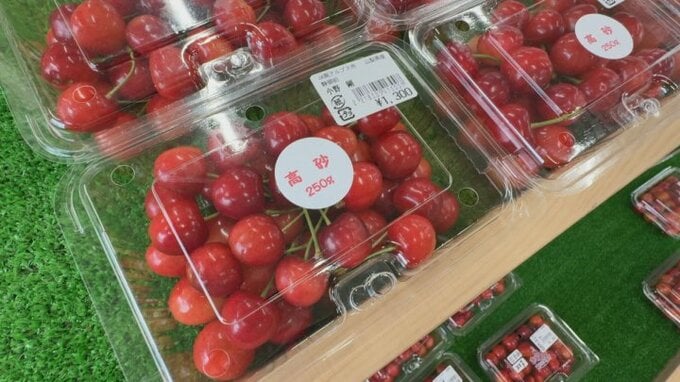 旬の味覚に長い行列　サクランボフェスティバル　トウモロコシやキュウリなど新鮮野菜も販売|TBS NEWS DIG