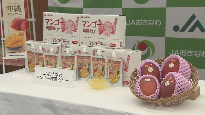 規格外のマンゴーを使用したゼリーを開発　|　沖縄のニュース｜RBC 琉球放送