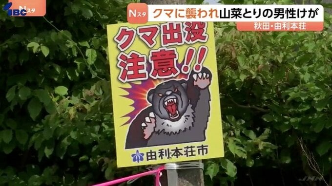 秋田で２日続けてクマによる人身被害　山菜採りの83歳男性が頭や顔にけが　搬送時意識あり|TBS NEWS DIG