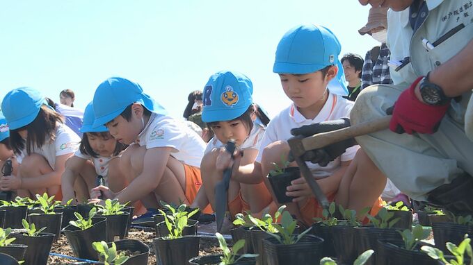 「きれいに咲いて」地元の児童・園児が花の植え付け体験|TBS NEWS DIG