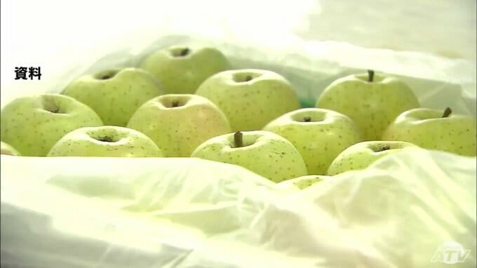 12年連続で100億円を突破　青森県産リンゴが9割とされる国産リンゴの輸出金額　1月までに135億円余りに|TBS NEWS DIG