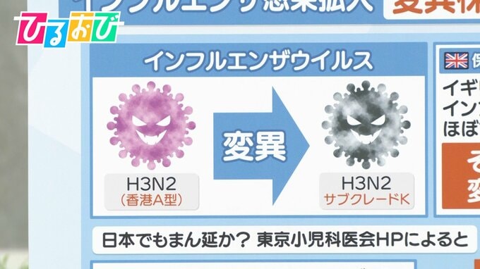 インフルエンザ急拡大 “新たな変異株”「サブクレードK」を医師が解説【ひるおび】|TBS NEWS DIG