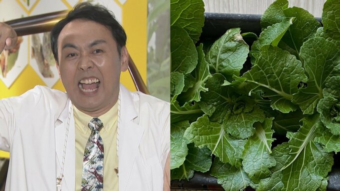 【アンガ田中卓志】家庭菜園に異変「朝起きたら食われてた」　その犯人を明かす|TBS NEWS DIG