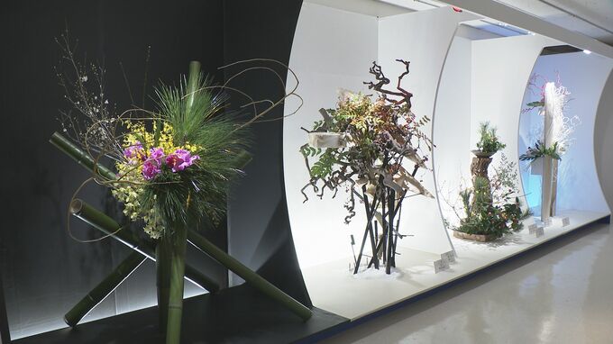華やかに一年の幕開け 「北國花展」後期展にぎわう　|　石川県のニュース｜MRO北陸放送