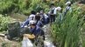 “地球上で最悪の侵略的植物” 特定外来生物の水草＝ナガエツルノゲイトウ　地元の高校生が参加して防除作業【岡山】　|　岡山・香川のニュース | 天気 | RSK山陽放送