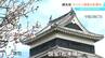 北アルプスの残雪とのコラボや梅の花との共演も　3連休初日の国宝・松本城は観光客でにぎわう　長野・松本市　|　SBC NEWS | 長野のニュース | SBC信越放送