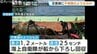 定置網に不発弾らしき “ボンベ状の物体” 引っかかる…正体は太平洋戦争時の米軍製「焼夷弾」か　海上自衛隊が回収し処理へ　富山・射水市　|　富山のニュース｜天気・防災｜チューリップテレビ