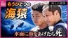 「水面に顔をあげたら“死”を意味する」　 “もうひとつの海猿”海上自衛隊・潜水員　「バディ」が挑む２か月間の極限訓練　|　RCC NEWS | 広島ニュース | RCC中国放送