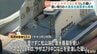 松山沖でナマコなど密漁の疑い　密漁グループと買い取りの水産会社経営者を逮捕　|　愛媛のニュース - Nスタえひめ｜あいテレビは6チャンネル