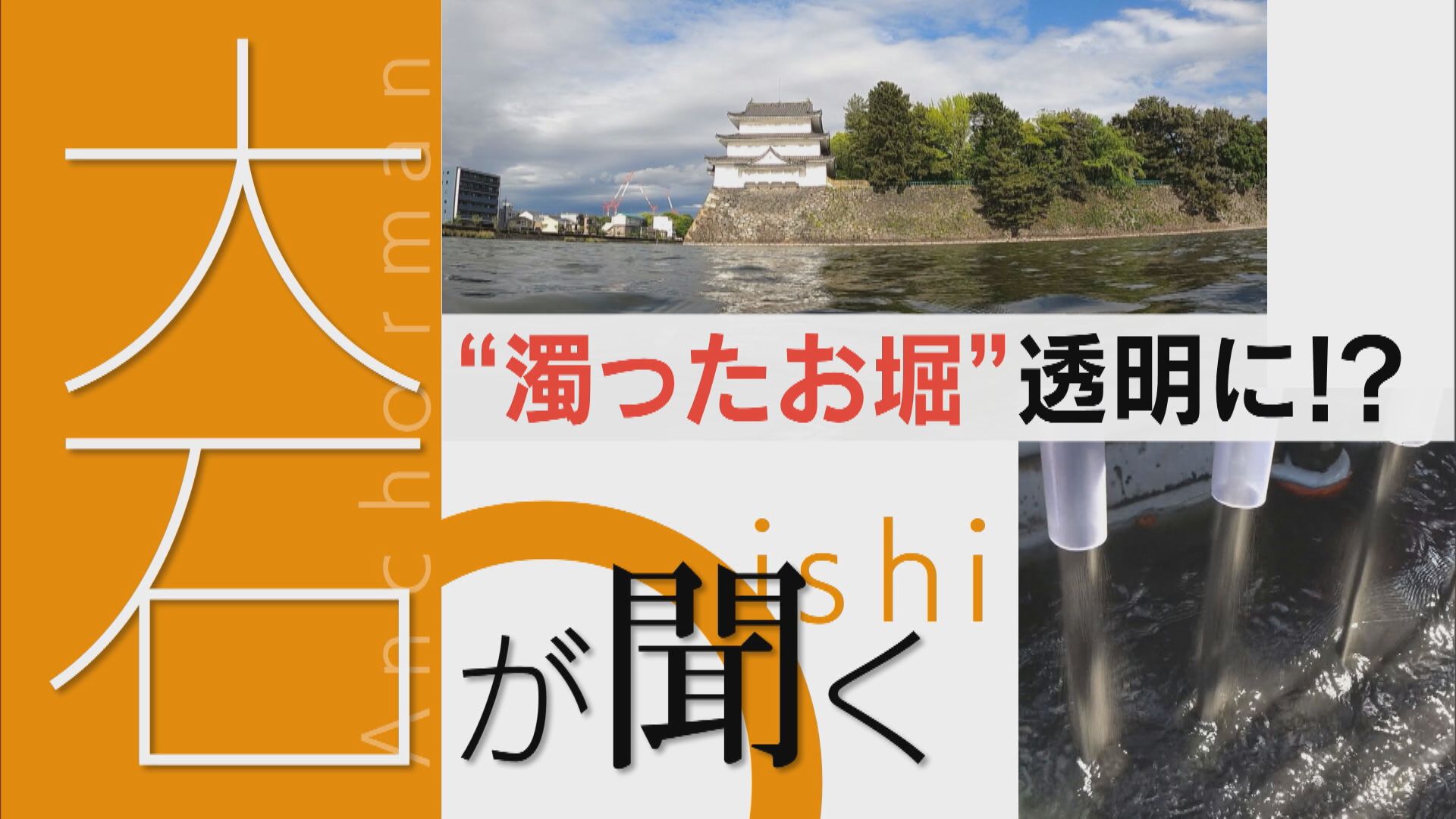 一度も掃除の記録なし” 名古屋城お堀の水はキレイになるのか