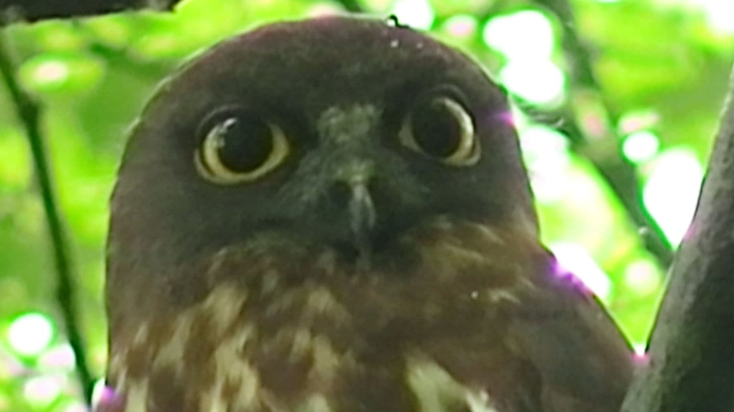 img_c9714eef9339e51eeac6ad8522