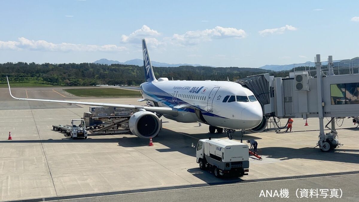ANA30日も6便欠航 約530人に影響「30日はこれ以上の欠航なし