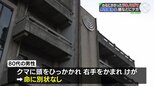 わなにかかったクマに頭をひっかかれ右手をかまれ 80代男性けが 岐阜・飛騨市の山中|TBS NEWS DIG