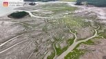 「世界一!?危険な料理」と韓国の赤い絶景…潮が引くと現れる不思議な色の干潟と本場のタコおどり食い【世界遺産/ゲッボル:韓国の干潟(韓国)】|TBS NEWS DIG