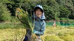 【 磯野貴理子 】「9月の大雨でほとんどの稲が倒れてしまったけど、無事に稲刈りできました」田んぼでの収穫を報告|TBS NEWS DIG