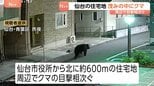クマをマンション裏の茂みで発見…仙台市内の住宅地　緊急銃猟が困難、はこ罠での捕獲試み　周辺では18日夜からクマの目撃相次ぐ|TBS NEWS DIG