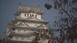 【解説】「世界遺産」って何? どう決まるの?|TBS NEWS DIG