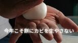 「どうして冷凍庫で保存した餅にカビが??」この寒さの中カビはどこに潜んでいる?専門家が「冬のカビ撃退策」伝授 |TBS NEWS DIG