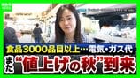 【野菜が高い】レタス1玉486円？10月から3153品目が値上げ…スーパー社長に聞いた「今安い2品」とは？知っておきたいお金の話『電気ガス』『106万円の壁』など【解説】　|　MBSニュース | 関西の最新ニュースを分かりやすく。
