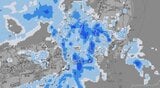 【大雨情報】関東甲信 13日夕方まで大雨に厳重警戒 低い土地の浸水、土砂災害、竜巻やひょうに注意【雨と風のシミュレーション】 | 富山のニュース|天気・防災|チューリップテレビ