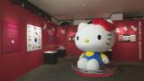 60年の“カワイイ”北陸に！サンリオの歩み振り返る 「サンリオ展」金沢で開幕　|　石川県のニュース｜MRO北陸放送