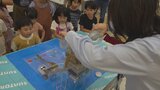 森林の役割やペットボトルリサイクルについて学ぶ　SDGsフェス　|TBS NEWS DIG