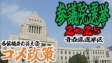 【青森県選挙区】各候補の訴えは… ③コメ政策【参議院選挙2025】|TBS NEWS DIG