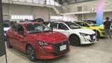 輸入車250台勢ぞろい 金沢で展示販売会 円安・原材料高騰の中“1割値引き”も|TBS NEWS DIG