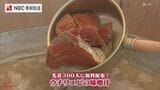 「身がぷりぷりしていておいしいです」ウチワエビの味噌汁を300人に振舞い　富江町漁民祭【長崎】|TBS NEWS DIG