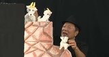 国内最大規模の人形劇の祭典「いいだ人形劇フェスタ」開幕…約100会場で300超の劇を上演…イベントは8月2日まで、国内外約260劇団が上演|TBS NEWS DIG