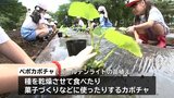 「元気に育ってほしい」 小学生がカボチャの苗植えと枝豆の種まきで農作業体験 農業に興味をと農業研究センターが実施 盛岡市|TBS NEWS DIG