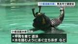 甲冑をまとった“武士の泳ぎ”「小堀流踏水術」に小中学生が挑戦　立ち泳ぎなど「ちゃんと泳げた」　熊本　|　熊本のニュース｜RKK NEWS｜RKK熊本放送