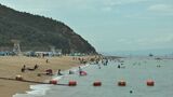 【速報】渋川海水浴場を3年ぶりに開設【岡山・玉野市】|TBS NEWS DIG