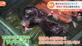 「調理しづらくても味に問題なし」“規格外野菜”を救え!猛暑に台風“異常な夏”で大打撃…農家・観光地に広がる支援の輪|TBS NEWS DIG