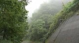 キノコ採りの63歳男性が斜面から約100メートル滑落して死亡…長野・須坂市の山林…県内ではキノコ採りの遭難が相次ぐ | SBC NEWS | 長野のニュース | SBC信越放送
