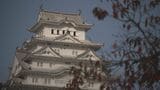 【解説】「世界遺産」って何? どう決まるの?|TBS NEWS DIG