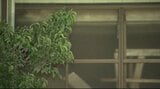 妻を木製バットで殴って殺害した疑いで逮捕…長野・天龍村の88歳男が刑事責任能力調べるため鑑定留置へ | SBC NEWS | 長野のニュース | SBC信越放送