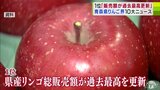 2024年の「りんご界10大ニュース」発表　1位は「県産リンゴ総販売額が過去最高を更新」　青森県　|　青森のニュース│ATV NEWS│青森テレビ