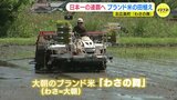 コンテスト連覇へ　ブランド米「わさの舞」田植え　再び “日本一” 目指す　|　RCC NEWS | 広島ニュース | RCC中国放送