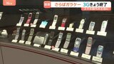 「3G回線サービス」終了…2001年に世界初の実用化、スマホ時代につながる土台築く ドコモの“3G端末”は4月1日で自動解約に|TBS NEWS DIG