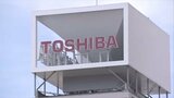 東芝、住宅用太陽光発電システム事業から撤退|TBS NEWS DIG