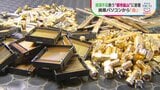 基板1トンから天然金鉱山の数十倍の“金” 廃棄パソコンを宝の山に変える「都市鉱山」 全国規模で進む資源回収の取り組み|TBS NEWS DIG