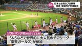 台湾のプロ野球チーム「楽天モンキーズ」が宮崎市で交流試合 2月にソフトバンク、オリックスと対戦 | MRTニュース | MRT宮崎放送