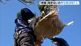「潮風もそれほど当たらず きれいに育った」春の訪れ告げるコモ外し　ヤシの木が穏やかな春風に対面＝静岡・南伊豆町|TBS NEWS DIG